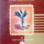 Haridra (Turmeric) : Antibacterial Potenial